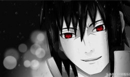 忍界佐助爆料视频合集,揭秘宇智波家族秘密与忍者世界风云